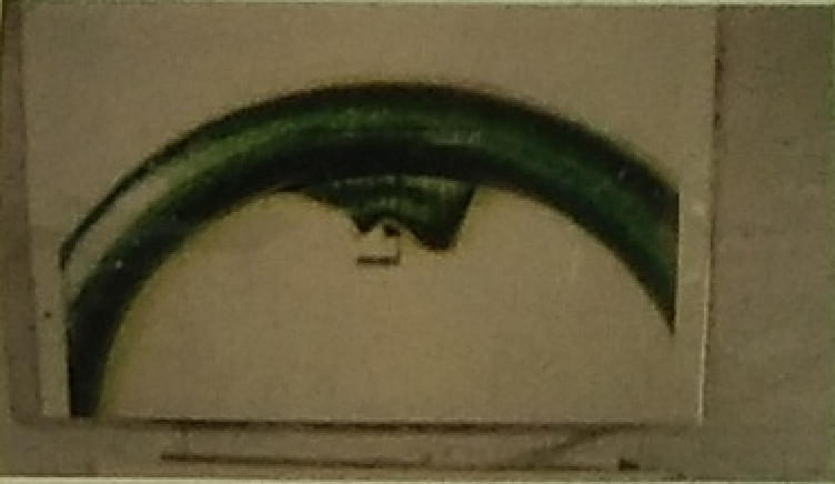 毛邊2.png 毛邊2.png