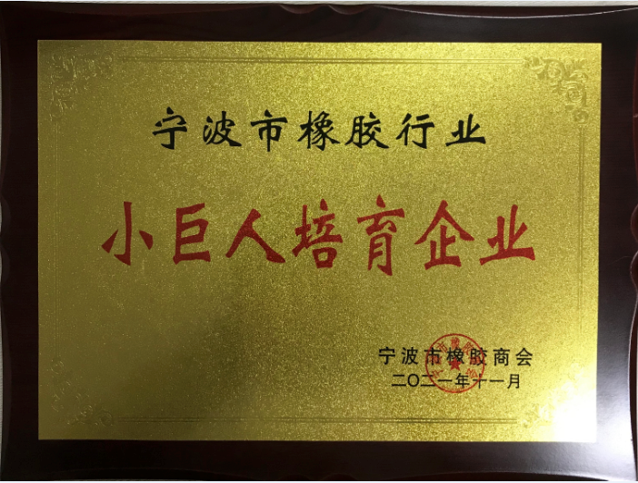 小巨人培育企業(yè)